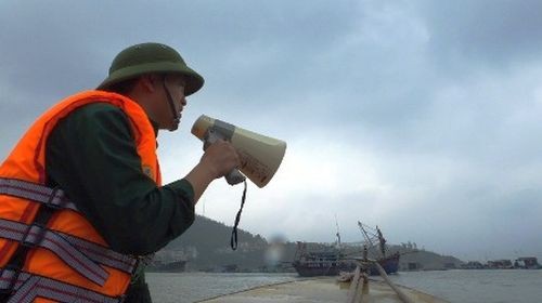 Вьетнам прилагает все усилия для подготовки к борьбе с тайфуном «Хайян» - ảnh 2